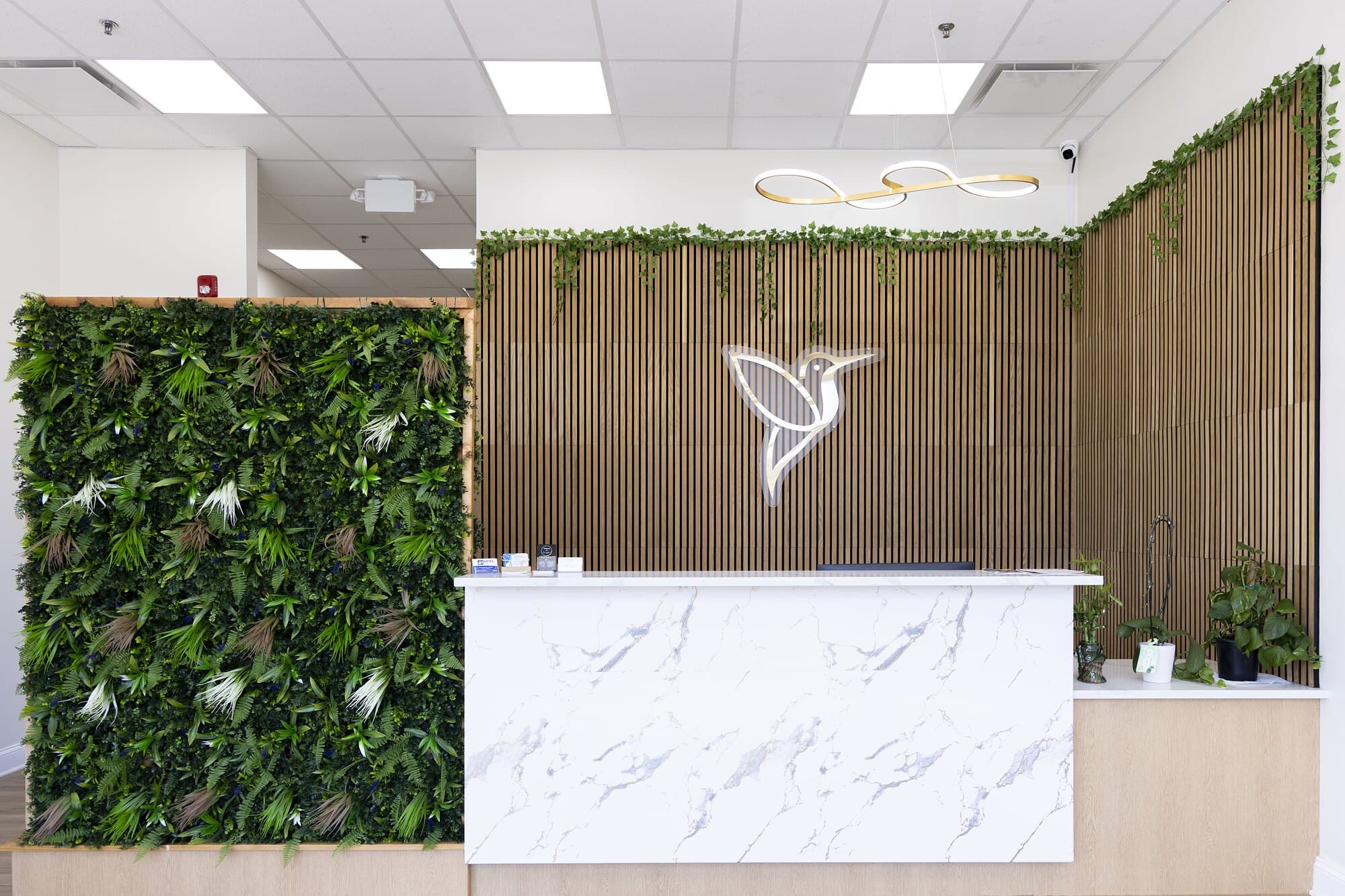 Hummingbird Pediatrics modern office reception area with natural green wall design in Robbinsville NJ
